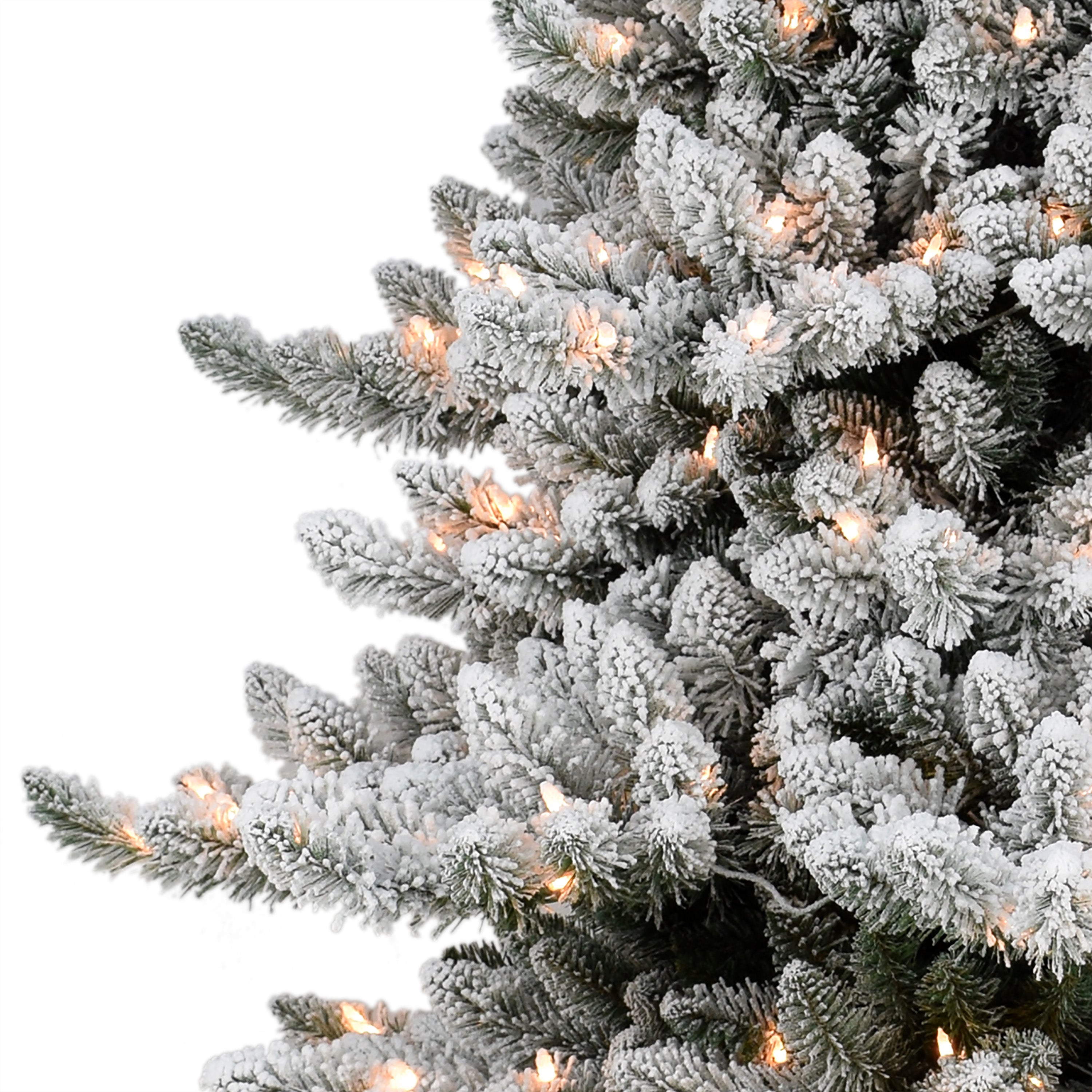 6.5ft Pre-lit Flocked Royal Majestic Spruce Christmas Tree
